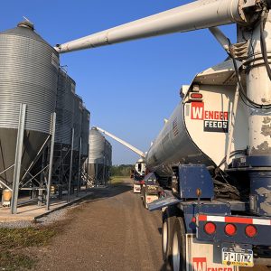 Two trucks delivering feed on the farm